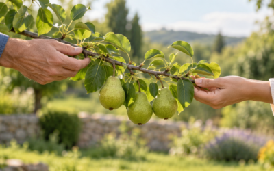 Charitable Giving Before a Share Sale: Review the Gift Before the Deal Is Finished